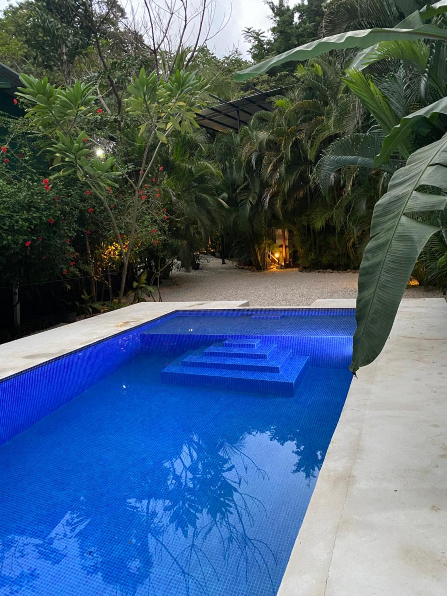 Nahele Lodge Playa Santa Teresa  Extérieur photo